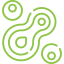 cell-division